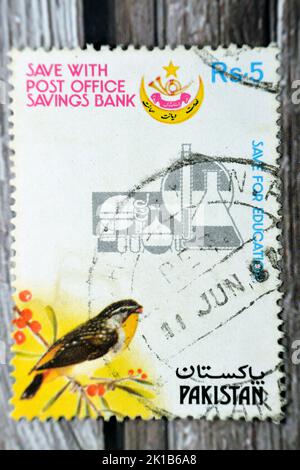 Le Caire, l'Egypte, 15 août 2022: Ancien timbre-poste utilisé imprimé au Pakistan présente un oiseau de Pardalote tacheté, à sauver pour l'éducation timbre vers 1987 Pakistan Banque D'Images