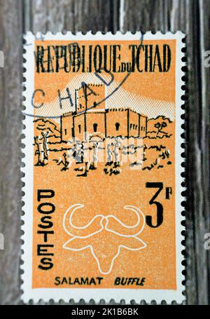 Le Caire, Egypte, 15 août 2022: Ancien timbre-poste utilisé imprimé au Tchad, montre Salamat et buffle, vers 1961isolated sur fond de bois, sélectif FO Banque D'Images