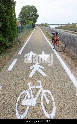 vélo sur la piste cyclable dans la plaine et le symbole blanc dessiné sur l'asphalte Banque D'Images