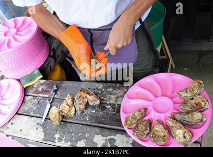 vente d'huîtres ouverture de coquilles avec gant tricoté et couteau dans la stalle du marché du poisson Banque D'Images