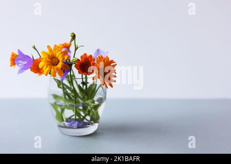 Fleurs bleues et fleurs de calendula orange sur fond gris. Banque D'Images