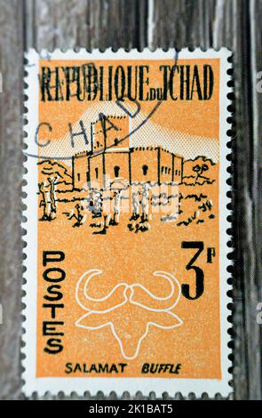 Le Caire, Egypte, 15 août 2022: Ancien timbre-poste utilisé imprimé au Tchad, montre Salamat et buffle, vers 1961isolated sur fond de bois, sélectif FO Banque D'Images