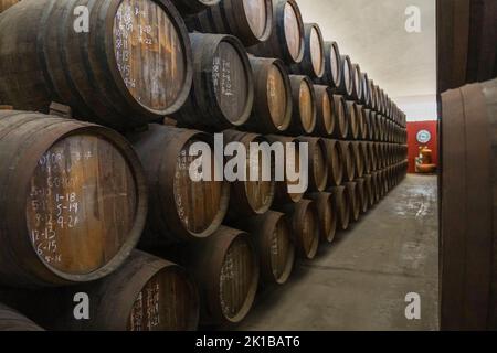 Fûts en bois dans une cave à rhum, de Ron Montero, Motril, Andalousie, Espagne. Banque D'Images