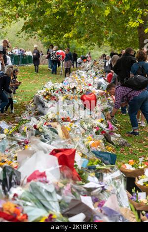 Les gens qui lisent des messages avec des fleurs dans Green Park à la suite du décès de la reine Elizabeth II Bouquets avec emballage en plastique disposés dans le parc Banque D'Images