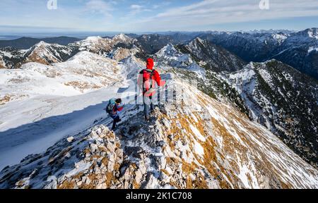 Deux alpinistes sur l'étroite crête rocheuse enneigée de l'Ammergauer Hochplatte, vue vers Loesertaljoch, vue sur la montagne, randonnée jusqu'à la Banque D'Images