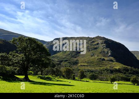 Terres agricoles à Gleninchaquin Park, comté de Kerry, Irlande - John Gollop Banque D'Images