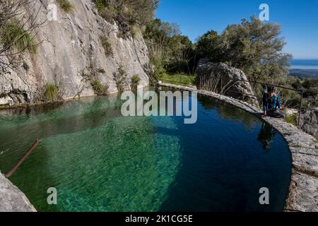 Assarell étang naturel, Pollença, Majorque, Iles Baléares, Espagne. Banque D'Images