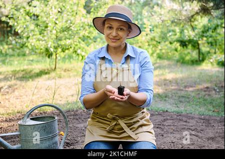 Belle femme agronome afro-américaine tient une plantule germinée de tomate en terre noire, sourit à la caméra Banque D'Images