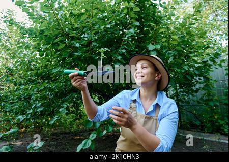 Un agronome expérimenté examine les plantules germées cultivées dans une cassette agricole avant des planter dans un sol ouvert Banque D'Images
