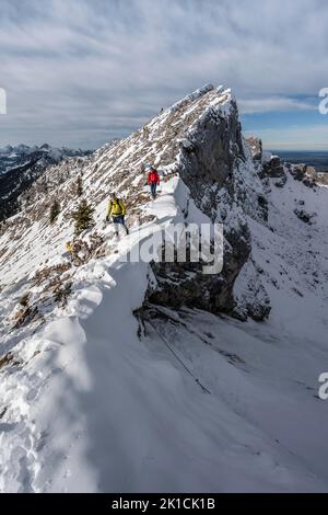 Deux alpinistes sur une étroite crête rocheuse enneigée, Fensterl sur le sentier de randonnée jusqu'à Ammergauer Hochplatte, en automne, Alpes d'Ammergau, Bavière, Allemagne Banque D'Images