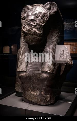 Fragment d'une statue de la déesse Sekhmet, granit noir, 18th dynastie régnant Amenhotep III, Temple de Mut, Karnak, Thèbes, Egypte, Collection du British Museum. Banque D'Images