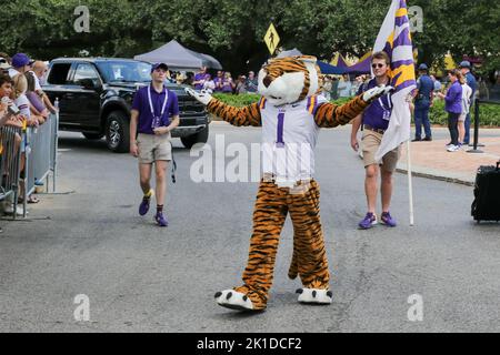 17 septembre 2022: La mascotte du LSU, Mike le tigre, essaie de pomper la foule avant que le groupe ne s'élance sur la colline de la victoire avant l'action du match de football de la NCAA entre les St. Bulldogs du Mississippi et les Tigres du LSU au stade du tigre à Baton Rouge, LA. Jonathan Mailhes/CSM Banque D'Images