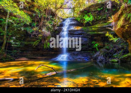 Gordon Falls dans le parc national des Blue Mountains tombant à la piscine de Siloam - sentiers de randonnée de la ville de montagne de Leura. Banque D'Images