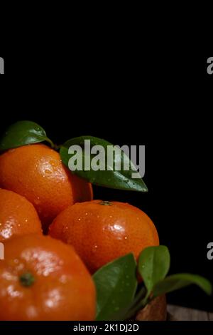 gros plan des mandarines avec des feuilles et des gouttes d'eau, fond noir Banque D'Images