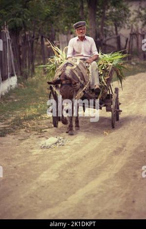 Greci, Comté de Tulcea, Roumanie, 2000. Un homme âgé qui roule sur la voie de la campagne en chariot tiré par un âne. Banque D'Images