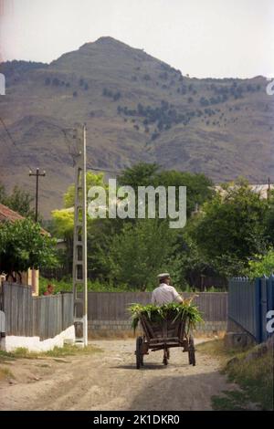 Greci, Comté de Tulcea, Roumanie, 2000. Un homme âgé qui roule sur la voie de la campagne en chariot tiré par un âne. Banque D'Images