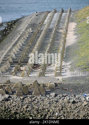 AJAXNETPHOTO. 25TH AOÛT 2022. IJMUIDEN, PAYS-BAS. - FORTERESSE DE L'ÎLE - L'ÎLE DE FORTEILAND, SITE CLASSÉ AU PATRIMOINE MONDIAL DE L'UNESCO QUI GARDE L'ENTRÉE DE LA RIVIÈRE AMSTEL À L'ENTRÉE DU CANAL DE LA MER DU NORD. CONSTRUIT EN 1880 POUR DÉFENDRE LA RÉGION ET LIMITER LE TRAFIC MARITIME À DESTINATION D'AMSTERDAM. L'ÎLE A ÉTÉ UTILISÉE PAR L'ALLEMAGNE PENDANT LA DEUXIÈME GUERRE MONDIALE COMME PARTIE DE LA LIGNE DE DÉFENSE DU MUR DE L'ATLANTIQUE. PHOTO:TONY HOLLAND/AJAX REF:DTH 2206 Banque D'Images