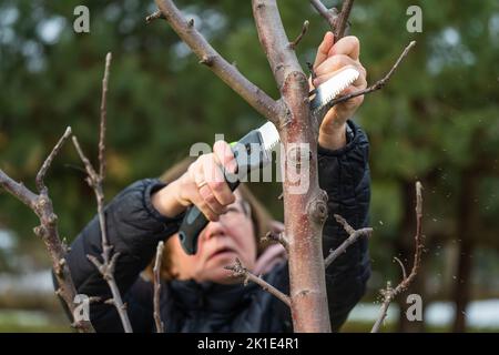 Femme jardinière utilisant une scie de jardin pour couper les branches d'arbre sèches. Élagage printanier des arbres et des buissons dans le jardin. Passe-temps, jardinage, concept de ferme. Banque D'Images