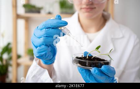 Microbiologiste féminine ajoutant des vitamines et des minéraux d'une pipette aux plantes vertes en croissance. Scientifique médical travaillant dans un laboratoire de science alimentaire. Banque D'Images