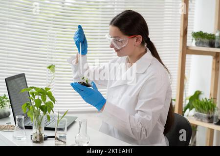 Microbiologiste féminine ajoutant des vitamines et des minéraux d'une pipette aux plantes vertes en croissance. Scientifique médical travaillant dans un laboratoire scientifique. Banque D'Images