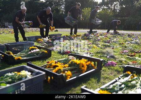 Les travailleurs du domaine de la Couronne déplacent les hommages floraux rendus par les membres du public à l'extérieur du château de Windsor sur la promenade Cambridge, près de la promenade long, à Windsor, avant les funérailles de la reine Elizabeth II, lundi. Date de la photo: Samedi 17 septembre 2022. Banque D'Images