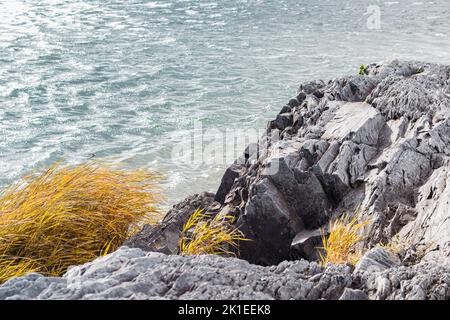 Magnifique paysage d'automne spectaculaire avec espace de copie. Les mauvaises herbes qui poussent sur la marl rocheuse sur les rives de la rivière.Rocky rivage du lac de montagne en automne. Beau Banque D'Images