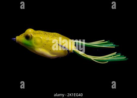 Appât pour grenouille de poisson prédateur isolée sur noir. Banque D'Images