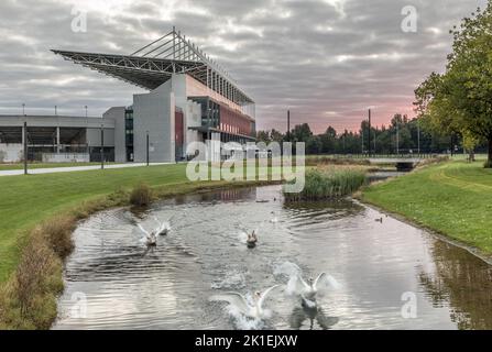 BlackRock, Cork, Irlande. 18th septembre 2022. Les cygnes flottent leurs ailes alors que l'aube commence à se briser près de Páirc Uí Chaoimh sur la marina de Cork, en Irlande. - Crédit; David Creedon / Alamy Live News Banque D'Images