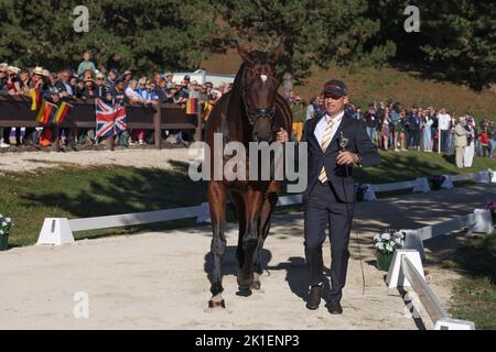 Rocca Di Papa, Italie. 18th septembre 2022. Sport équestre: Championnat du monde, Evesting, test constitutionnel. Michael Jung (Allemagne) dirige son cheval Chipmunk FRH. Les chevaux allemands éluant ont passé l'examen vétérinaire sans aucune plainte. L'événement aura lieu sur le plateau de Pratoni del Vivaro. Credit: Friso Gentsch/dpa/Alay Live News Banque D'Images