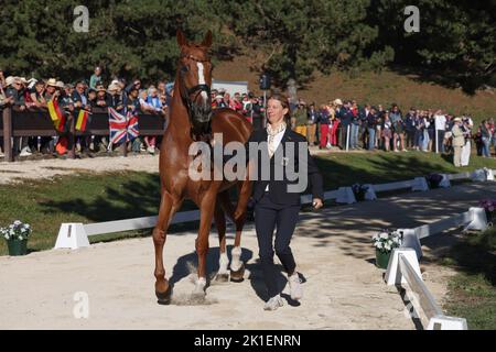 Rocca Di Papa, Italie. 18th septembre 2022. Sport équestre: Championnat du monde, Evesting, test constitutionnel. Sandra Auffarth (Allemagne) dirige son cheval Viamant du Matz. Les chevaux allemands éluant ont passé l'examen vétérinaire sans aucune plainte. L'événement aura lieu sur le plateau de Pratoni del Vivaro. Credit: Friso Gentsch/dpa/Alay Live News Banque D'Images