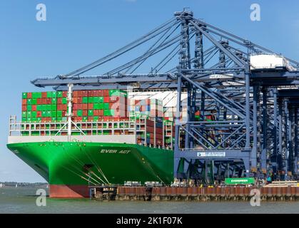 Evergreen Ever Act navire à conteneurs et grues portiques sur quai, Port de Felixstowe, Suffolk, Angleterre, Royaume-Uni Banque D'Images