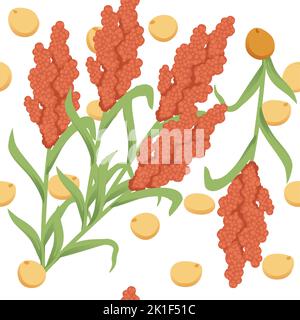 Modèle sans couture Sorghum agriculture plante avec grain vectoriel de graines illustration sur fond blanc Illustration de Vecteur