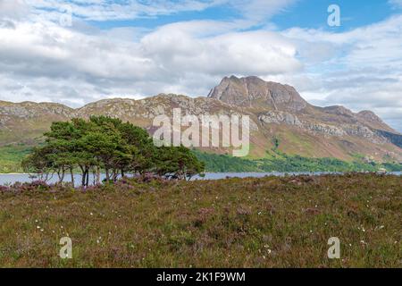 Slioch debout sur la rive du Loch Maree, Écosse, Royaume-Uni Banque D'Images