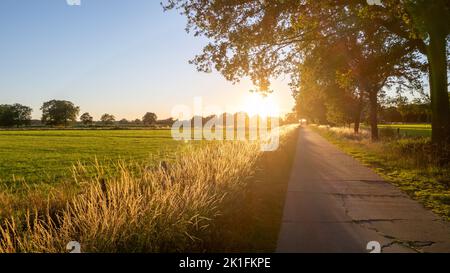 Vue aérienne du paysage euopéen, des terres agricoles. Un drone survolant un champ de maïs. Paysage rural, ferme. Matin ensoleillé, lever du soleil, printemps saison d'été . Photo de haute qualité Banque D'Images