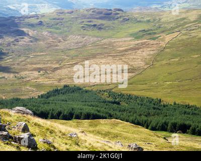 L'ancienne plantation de conifères a été autorisée pour permettre la régénération indigène dans la vallée de Duddon à partir de Harter Fell, Lake District, Royaume-Uni. Banque D'Images