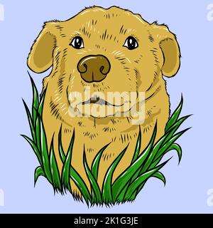 Golden Retriever - chiens de Pékin de couleur - chien de race. Image couleur d'une tête de chien isolée sur un fond blanc Banque D'Images