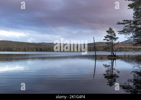 Loch Garten dans le parc national de Cairngorms. Banque D'Images