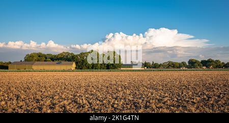 Vue panoramique sur les nuages de tempête lointains au-dessus du paysage agricole Banque D'Images