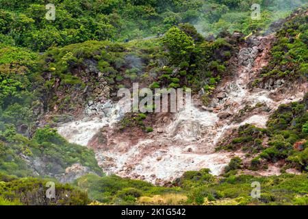 Le dioxyde de carbone et les gaz sulfurés s'échappent des fumaroles volcaniques dans le parc naturel de Furnas do Enxofre, sur l'île de Terceira, dans les Açores, au Portugal. Les Açores abritent 26 volcans actifs, dont 8 sous-marins. Banque D'Images
