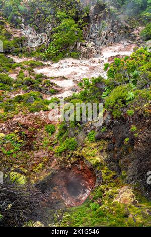 Le dioxyde de carbone et les gaz sulfurés s'échappent des fumaroles volcaniques dans le parc naturel de Furnas do Enxofre, sur l'île de Terceira, dans les Açores, au Portugal. Les Açores abritent 26 volcans actifs, dont 8 sous-marins. Banque D'Images