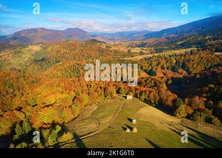Vue aérienne de drone sur la forêt d'automne. Arbres colorés dans le bois. Arrière-plan de l'automne, vue aérienne de drone de beau paysage de forêt avec des arbres d'automne Banque D'Images