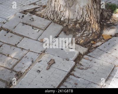 carreaux de trottoir inégaux. Nids-de-poule, insécurité et risques, image hd Banque D'Images