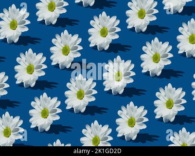 Motif Marguerite pâquerette blanc sur fond bleu. Banque D'Images