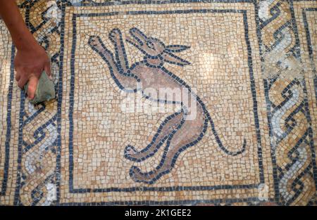 Gaza, Palestine. 18th septembre 2022. Détail du sol en mosaïque de l'époque byzantine découvert récemment par un agriculteur palestinien à Bureij, dans le centre de la bande de Gaza. Le ministère palestinien du Tourisme et des Antiquités a annoncé la découverte de la mosaïque, qui sera protégée et un projet d'excavation commencera à Dès que possible. (Photo par Ahmed Zakot/SOPA Images/Sipa USA) crédit: SIPA USA/Alay Live News Banque D'Images