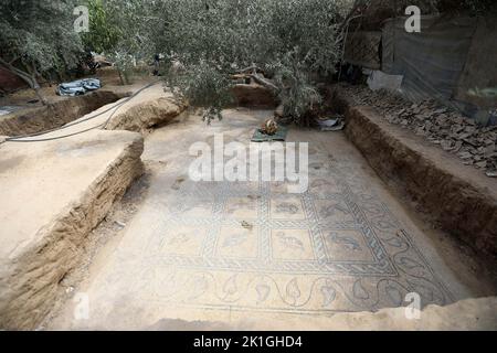 Gaza, Palestine. 18th septembre 2022. Une vue sur un sol en mosaïque datant de l'époque byzantine, selon les responsables, qui a été découvert dans le centre de la bande de Gaza. Le ministère palestinien du Tourisme et des Antiquités a annoncé la découverte de la mosaïque, qui sera protégée et un projet d'excavation commencera à Dès que possible. (Image de crédit : © Ahmed Zakot/SOPA Images via ZUMA Press Wire) Banque D'Images