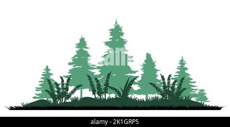 Epaissir la fougère. Forêt de conifères avec des sapins et des pins. Paysage avec arbres et herbe. Silhouette. Isolé sur fond blanc. Vecteur. Illustration de Vecteur