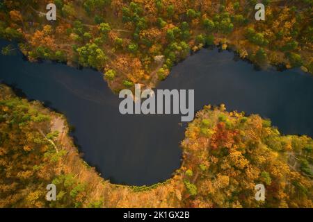 Arbres d'automne sur la rive de la rivière. Vue aérienne de drone. Banque D'Images