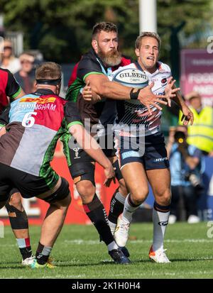 Max Malins et Irne Herbst en action lors du match de rugby Gallagher Premiership entre Harlequins et Saracens au stade Twickenham Stoop de Septe Banque D'Images