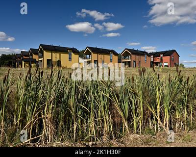 Zone résidentielle de maisons typiques en été en Finlande, roseaux en premier plan Banque D'Images