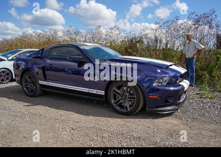 Exeter, Royaume-Uni-août 2022 : Ford Mustang Shelby GT500 lors d'un salon de voiture classique à la ferme de Greendale près d'Exeter Banque D'Images